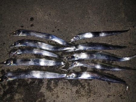 太刀魚ワインド